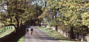 Old Frankfort Pike